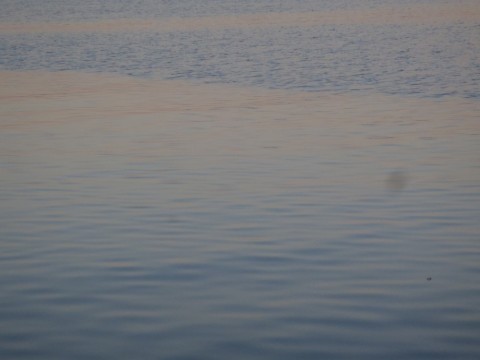 emmf6urmwp4zgcngkzt2_480_480-e83a6ebb.jpg