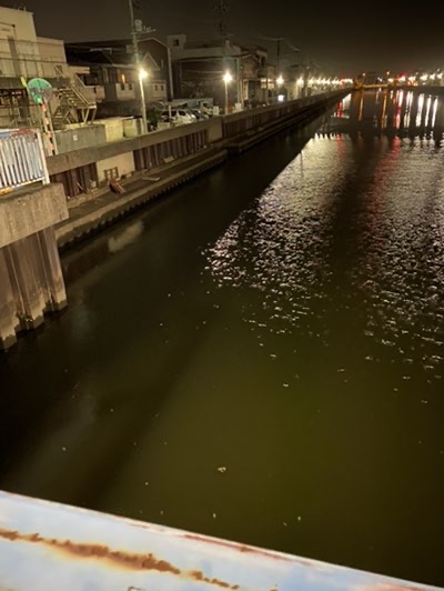 えびちゃんの 東京爆釣族 花畑運河