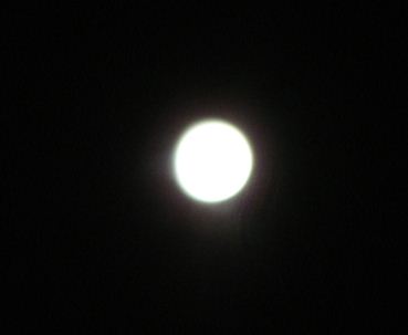 emu7p74cm3yi472hrcs2-d596acaa.jpg