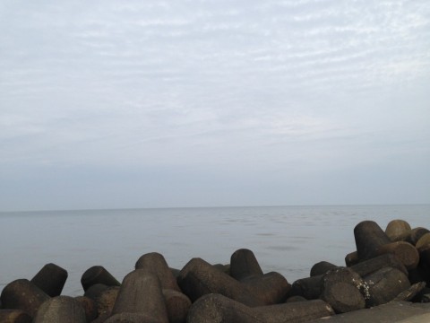 en28id6rmz8j6rie96v6_480_480-6c74442b.jpg