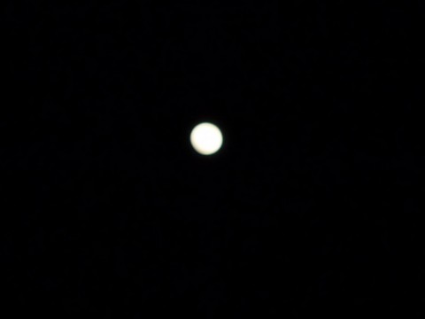 ency5zjre45ewkgmfnb3_480_480-b7b1ef90.jpg