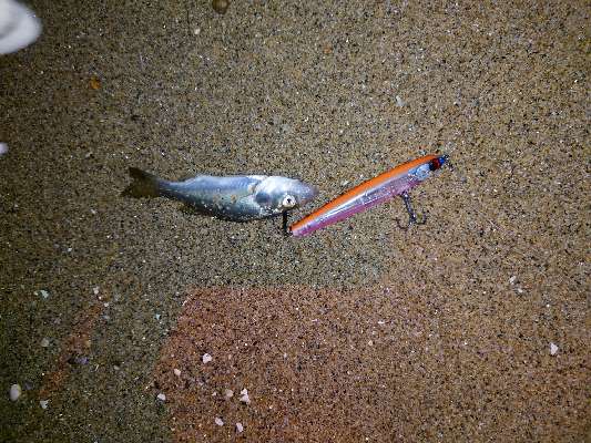 ブログ】 morethan BRANZINO EX AGS 94ML MATCH THE BITE CUSTOM