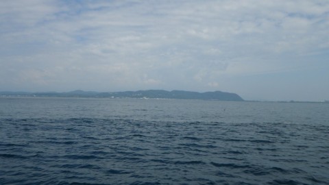 enjms4ph8956oy59kxx9_480_480-ae7f30df.jpg