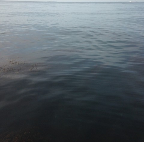 entbh3ka8277xg3xdjij_920_908-c236c675.jpg
