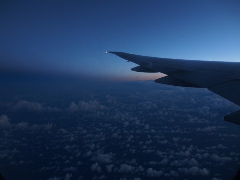 eo7ktnn6psrenx6fe7fy_480_480-6f31a9cb.jpg