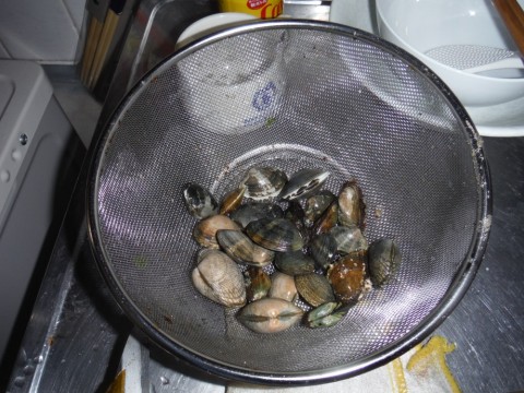 eofbkfizjgzw8k44ypyv_480_480-10928bf9.jpg