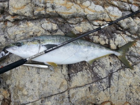 eog7kp7uz2vaveu2mvoc_920_690-001741c9.jpg