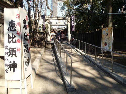 eoojhyejp6tigicomfch_480_480-2006b942.jpg