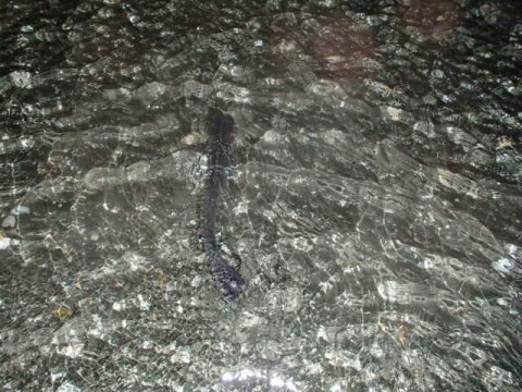 eoxbtjp9zvpck673gwcw_640_480-00d07bb3.jpg