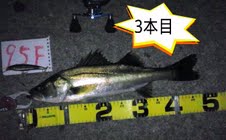 ep4jbmpkfvvswz94o5wd-8353ee63.jpg