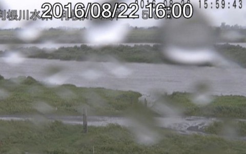 epa374534kabw3vbp38p_480_480-b3b73f58.jpg