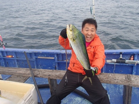 ephncjvntkv7njjongkh_480_480-9611c2f8.jpg