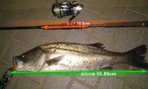 era5tt2bo56bkzbcnoke_920_554-340b36c9.jpg