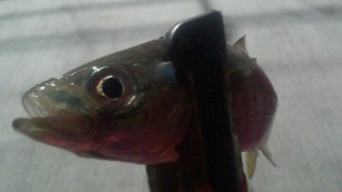 erchbpe2fprkmjssfxhr_920_518-00119950.jpg