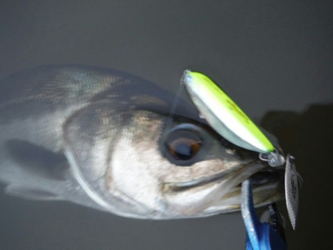 erhnnmbibk73xsm9vxan_920_690-1a196b35.jpg