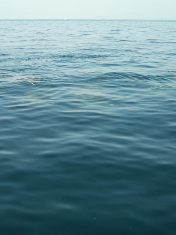 erxxeaygtsfuorttbodx_690_920-0d77d7e8.jpg