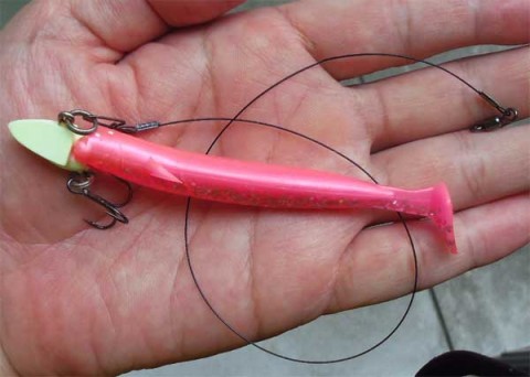 太刀魚　ワインド　エコギア　パワーシャッド