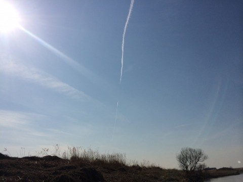 es5ik4ud3nt5x954u5u3_480_480-2b85d225.jpg