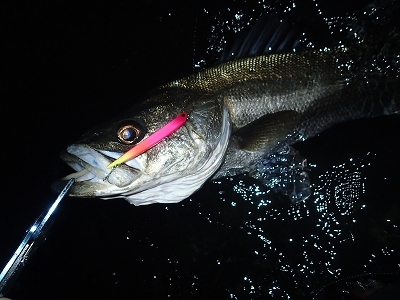 esyvkuxjb8ptvrrpk6on-f2078813.jpg