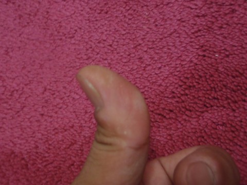 eszfpuni6w7n64ge764e_480_480-8088b02b.jpg