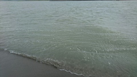et2ig9gpwe79ds83opk3_920_518-0a3395ba.jpg
