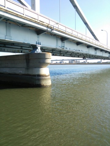 et556mgo2griivsckhuj_690_920-2084659f.jpg