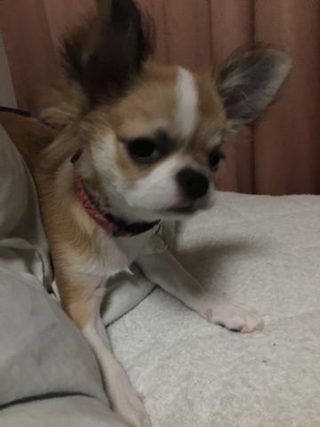 et6ox9zxg56cjjcweoyr_480_480-135873cb.jpg