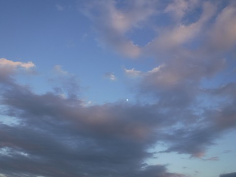 eteakuj6yzah7j7bgmkm_480_480-f62e7a43.jpg