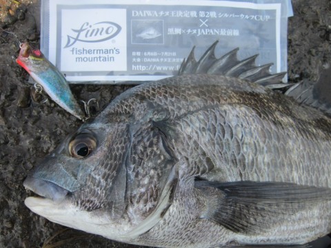 ethpgkryjbuo3f4n89e8_480_480-f05178db.jpg