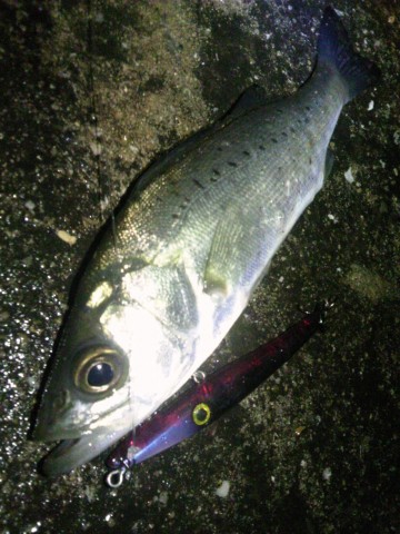 etua97hotgykfwjsivao_480_480-30845722.jpg