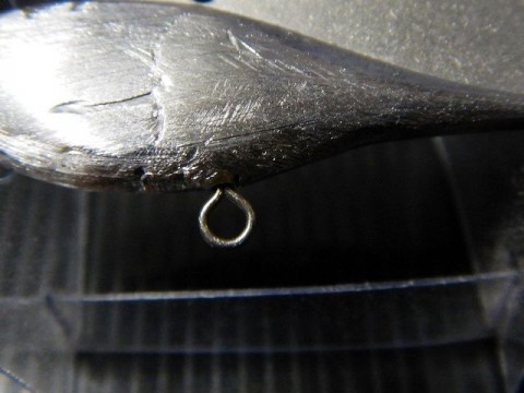 etupgd9hk7ouhmn9ojmi_480_480-93f3c9e9.jpg