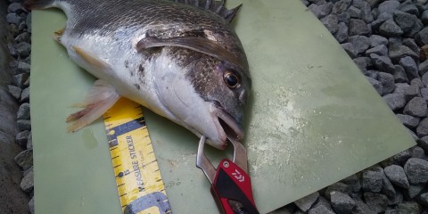 etysfaeuocnshjkvgohe_480_480-943629b6.jpg