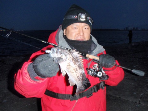 eubib6gx92kz46pm25xw_480_480-e50a2645.jpg
