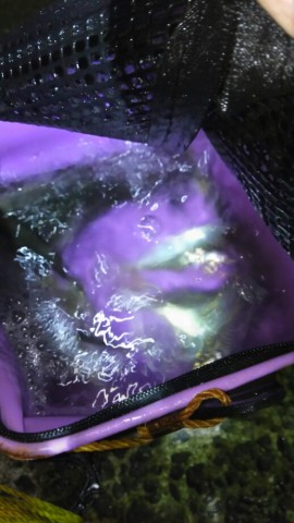 euetyta6yo7rzstckr4e_518_920-f103cd0f.jpg