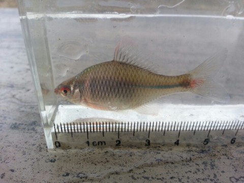 eufk5srdozen5op7x7vf_640_480-97aa5f99.jpg