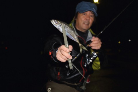 eufwbptfs9r3v66hm89r_480_480-3bc8924f.jpg