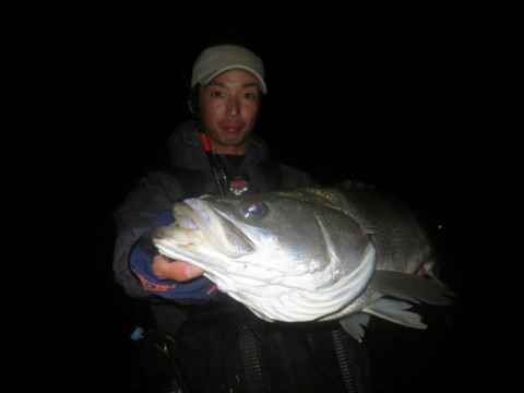 eumonjadut4et96mfc2z_920_690-7d4b0428.jpg