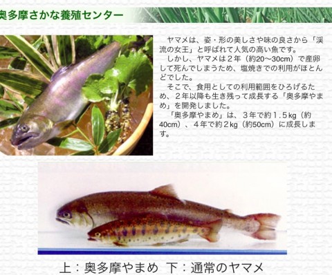 eumy674b2vxjd8vsfy72_920_762-c35748bf.jpg