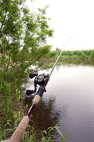 eun39gwi7h3k38i7vkjy_480_480-2c3375a7.jpg