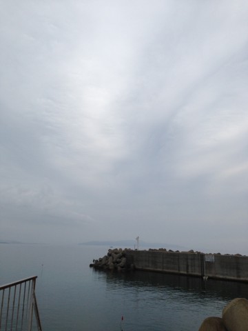 eun39vns2okftb38by37_690_920-8cbe11d3.jpg