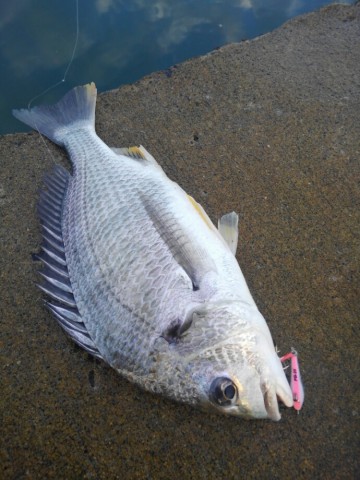 evagyyfa2bvuogb3knbg_690_920-87bb2ed6.jpg