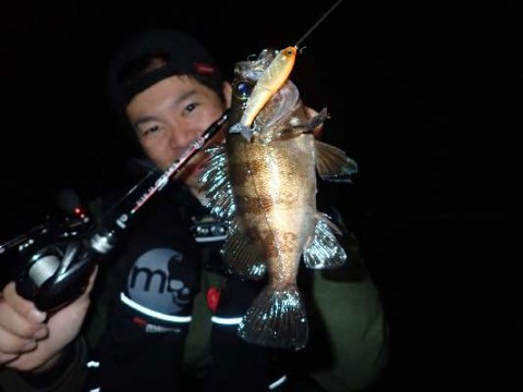 evfc333obwcejusibe7u_480_480-2ce294ec.jpg