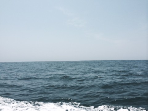 evijowm55idvsiim4a5o_480_480-308d7746.jpg