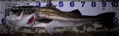 evnd888jwkmisgb5583i_920_286-3b6de187.jpg