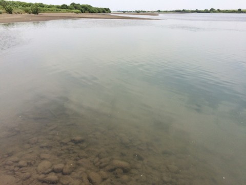 evoevb3nkpungmmtt6yv_480_480-a5303774.jpg