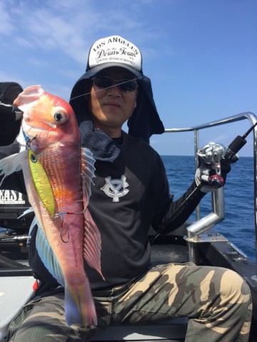 evsg56t78x39tatz36au_690_920-cc3cf90d.jpg