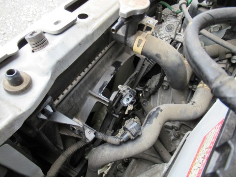 ew8cyv3gyemixoafsern_480_480-28628d03.jpg
