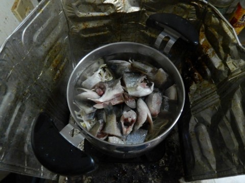 ewbtw24tnda6njn9c9u3_480_480-4342a4cb.jpg