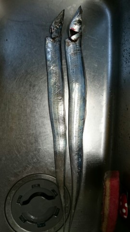 ewk8gr3894jeyjzkn734_518_920-70c3c997.jpg