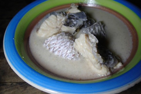 ewnxnda7tr5dd4bk2dop_480_480-1c9b14ba.jpg